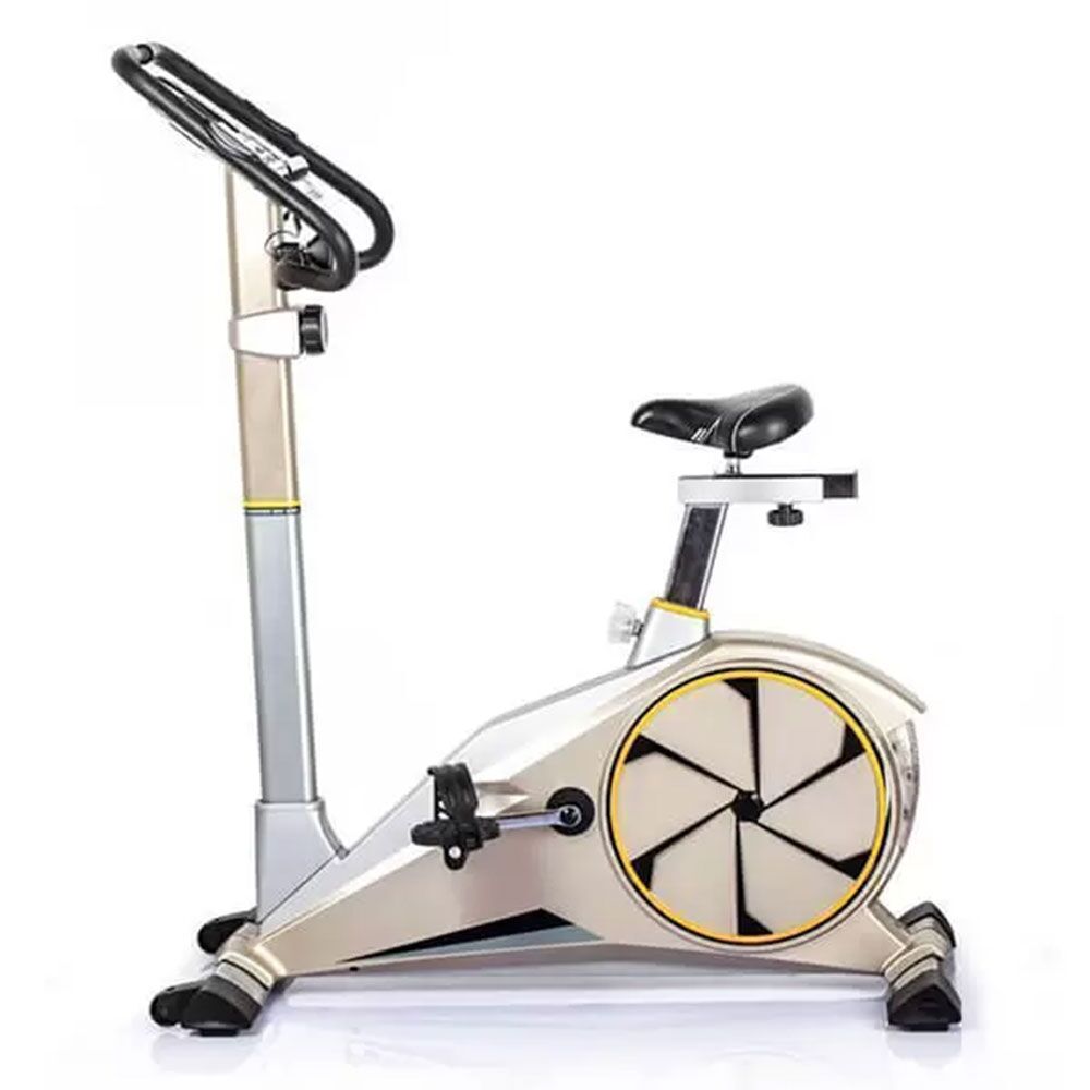 دوچرخه ثابت خانگی تایگر اسپرت Tiger Sport G100